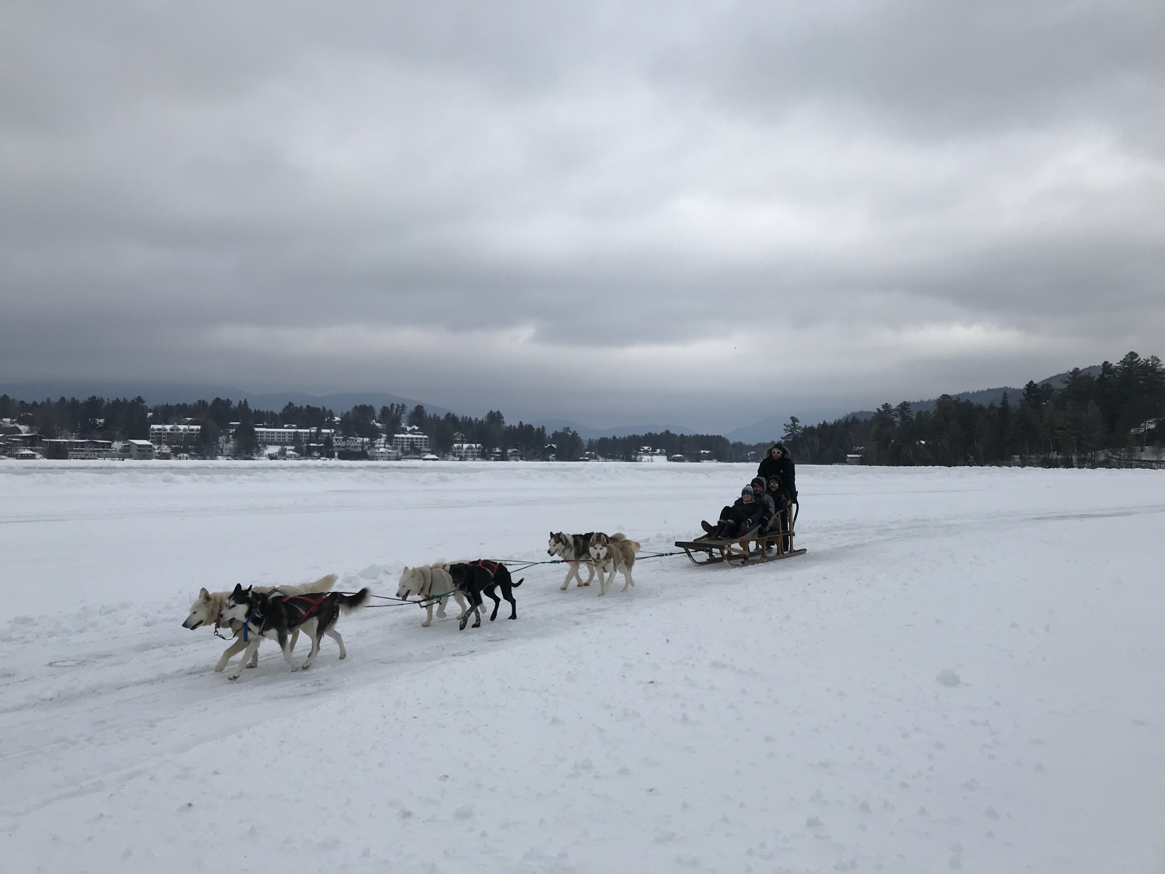 Going to the dogs (and sleds!) on Mirror Lake News, Sports, Jobs